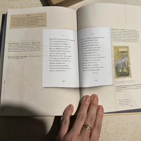 Евгений Онегин. Подарочная книга. Пушкин книги