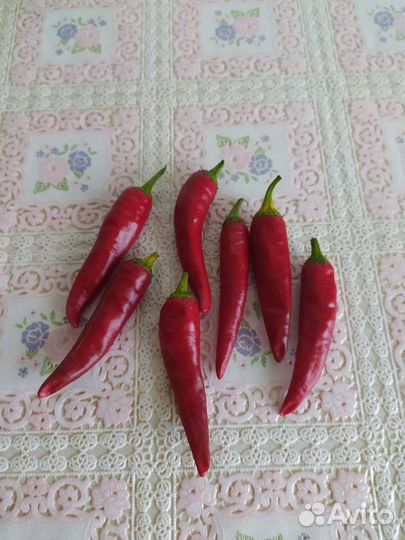 Семена горького перца 3 сорта купить в Тольятти