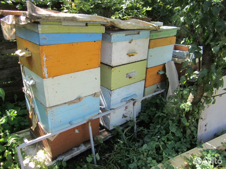 Ульи для пчел