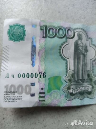 Чистокровный Ярославль