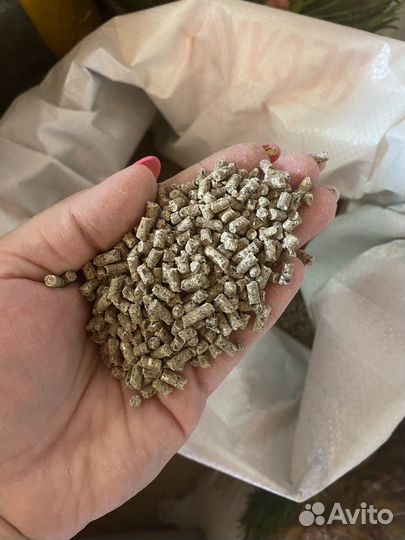 Комбикорм Пурина для яичной птицы Предкладка