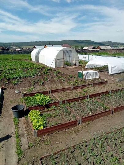 Дом 56 м² на участке 35 сот.