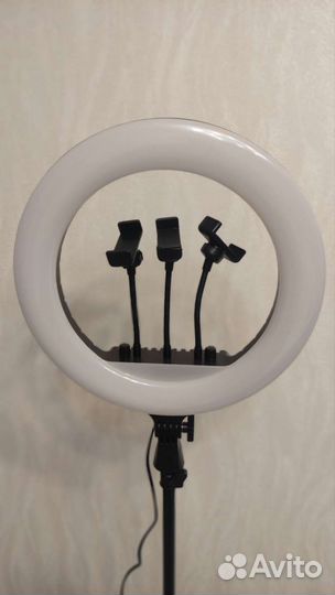 Кольцевая лампа RL-14 36 см +штатив в аренду