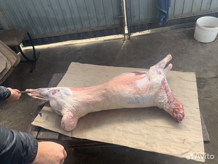 Мясо барана