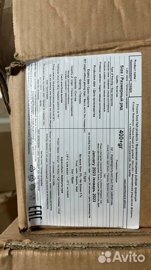 Форель радужная 400+