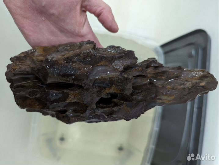 Для аквариума