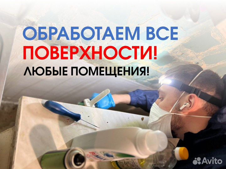 Дезинфекция