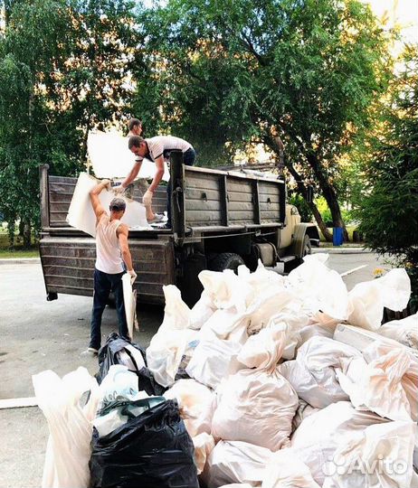 Вывоз мусора, спил, демонтаж