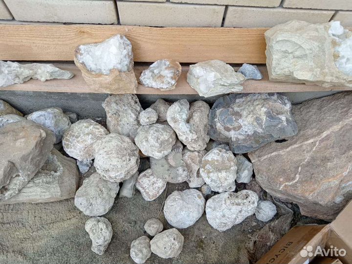 Аммониты. Септарии. Жеоды. Барит. Окаменелости