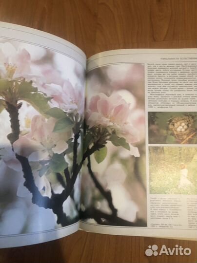 Искусство цветной фотографии 1985