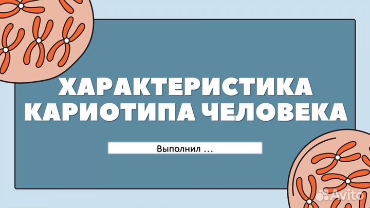 Создание презентаций на заказ