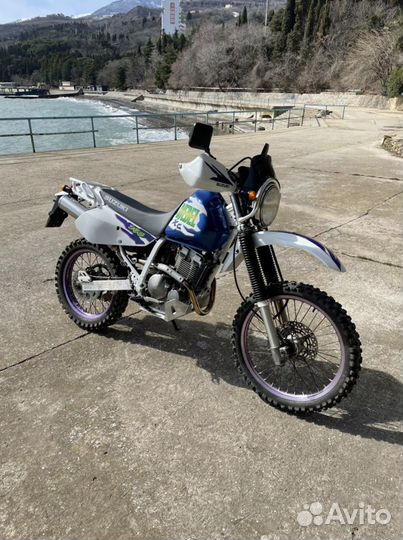 Suzuki djebel 250xc