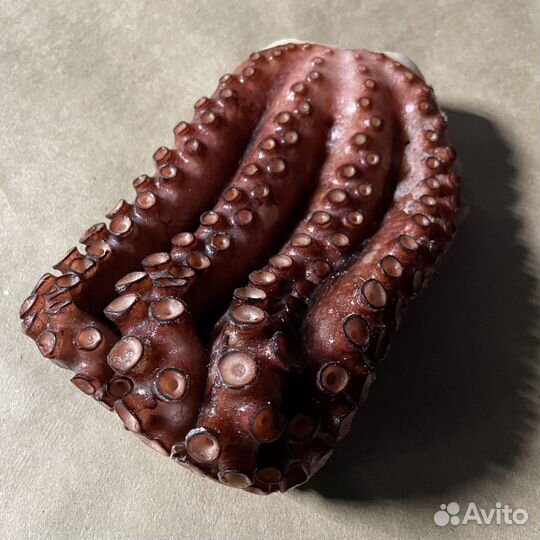 Осьминог песчаный