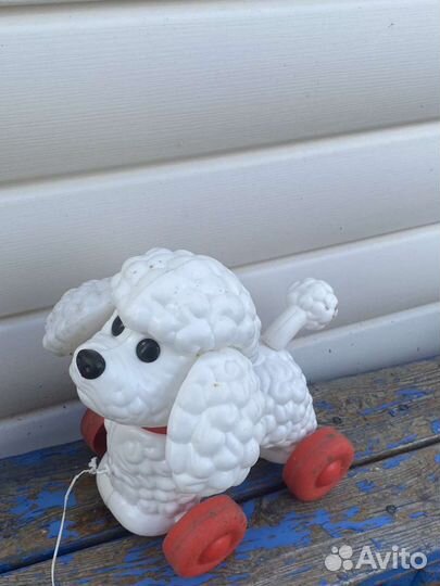 Собаки каталки