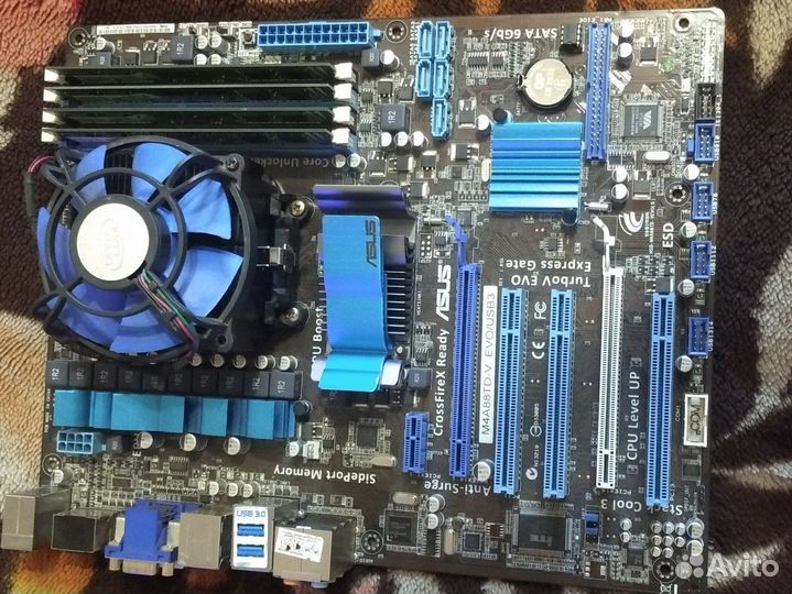 Комплект AM3 M4A88TD-V EVO/USB3