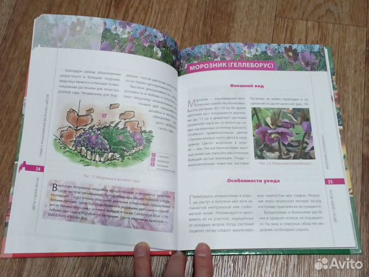 Книга Цветы у дома