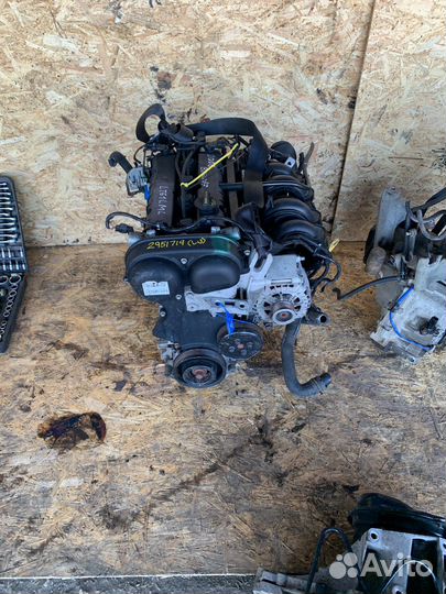 Двигатель ford focus 3 1.6 105