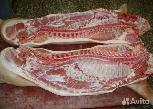 Мясо свинина пол у туши (порода мясная )