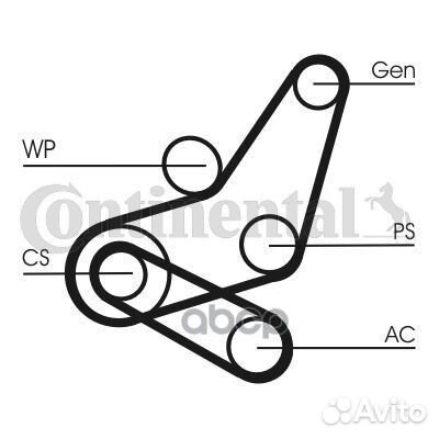 Ремень приводной focus-2 1.6 duratec (100/115/1