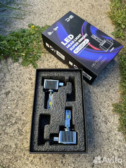 Лампы ZMB LED D1S 6000k