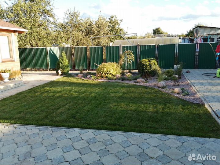 Рулонный газон