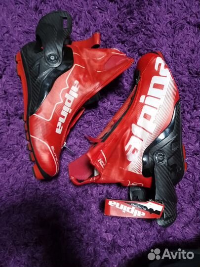 Лыжные ботинки alpina ESC Pro wc