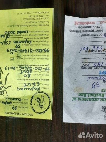 Пчеломатки