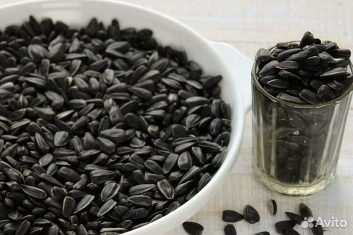 Семечка подсолнечника