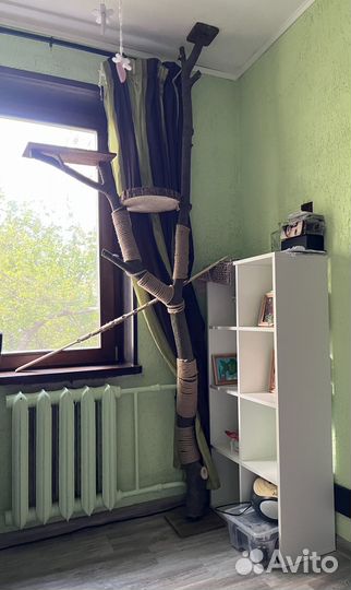 Дерево - когтеточка для кошки