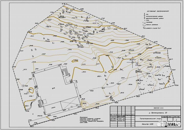 Геодезист, Вынос границ, Топосъемка