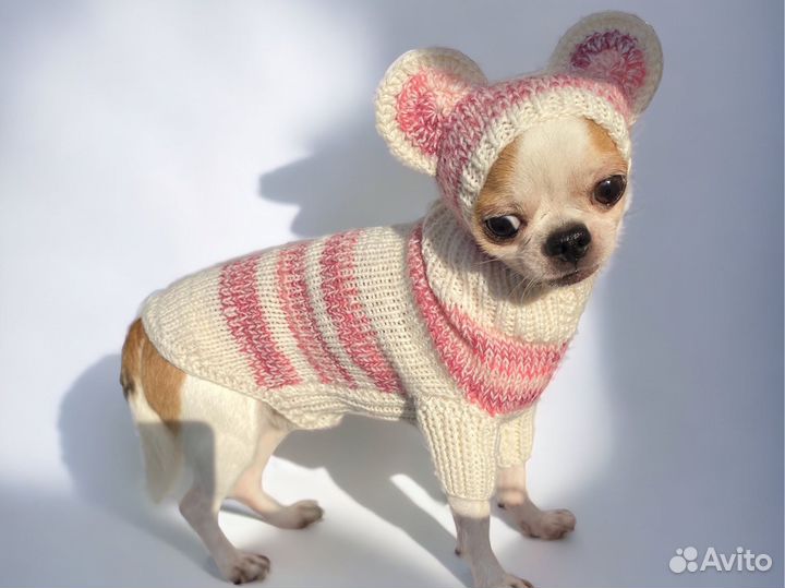 Одежда для кошки или маленькой собаки