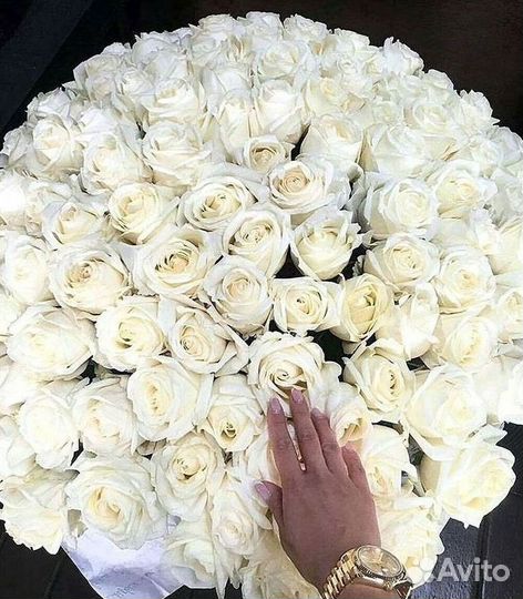 Букет роз 101 роза 51 роза