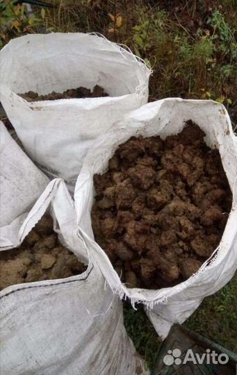 Навоз конский коровий перегной