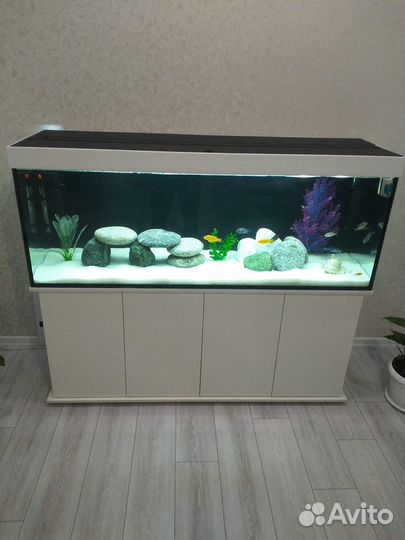 Террариумы и аквариумы