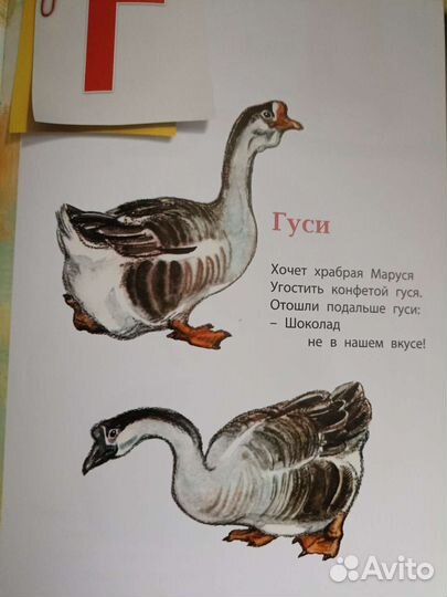 Азбука для малышей