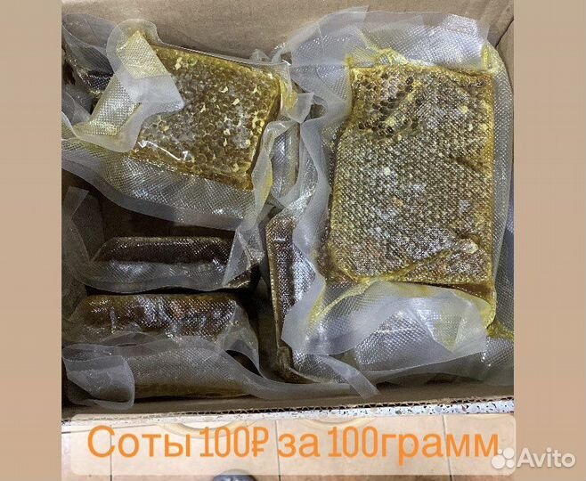 Мёд, забрус, соты, перга, подмор, прополис