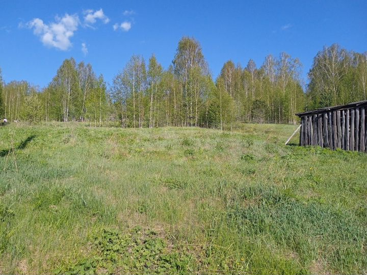 Участок 14,5 сот. (ИЖС)