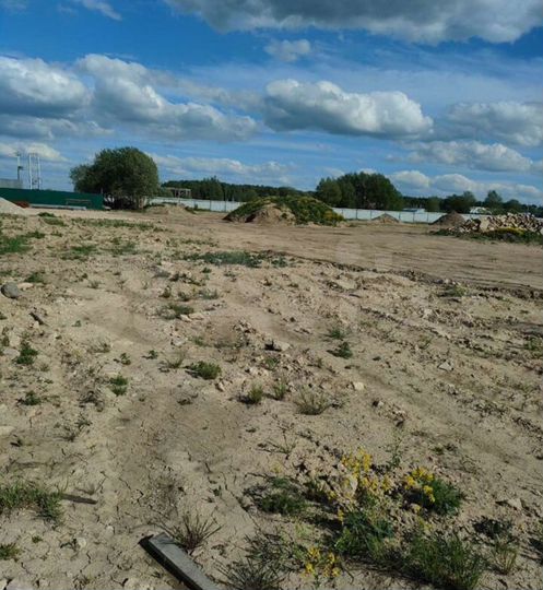 Участок 1000 га (промназначения)