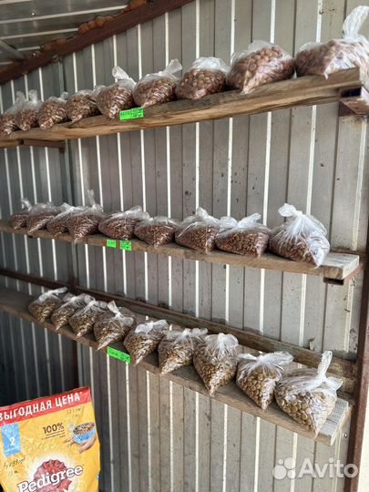 Корма для животных