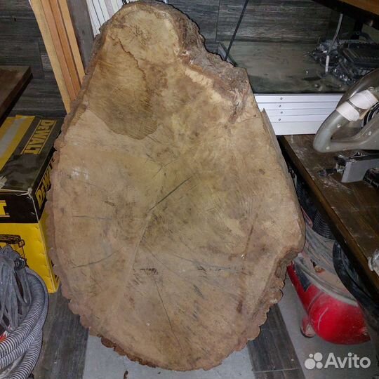 Торцевой спил дуба