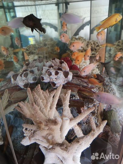 Аквариум с тумбой 400 литров