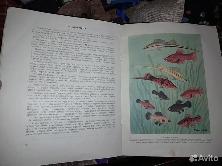 Книги о рыбах, ящерицах и драконах