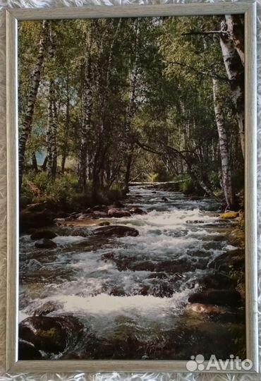 Фото картина