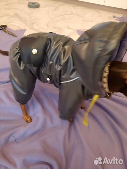 Комбинезон на тойчика