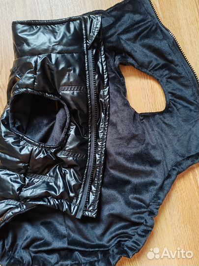 Новая желетка для собаки