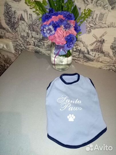 Кофта для кота