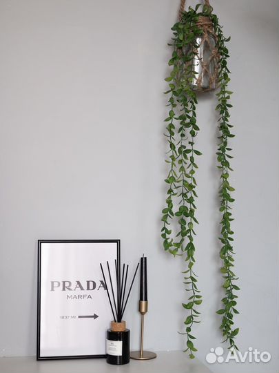 Шефлера искуственное свисающее растение