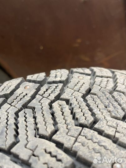 Cordiant Polar 195/65 R15