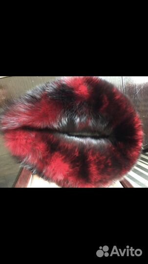 Воторник песец