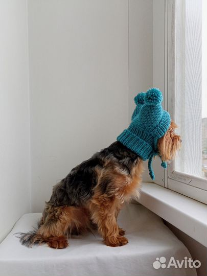 Шапочки для собак